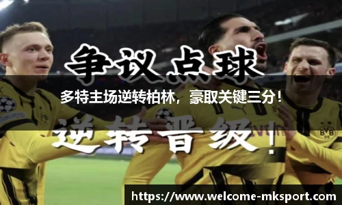 mk体育官网